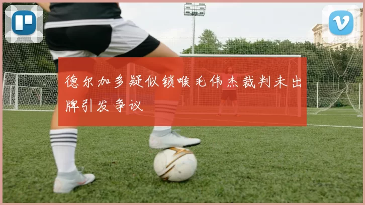 德尔加多疑似锁喉毛伟杰裁判未出牌引发争议